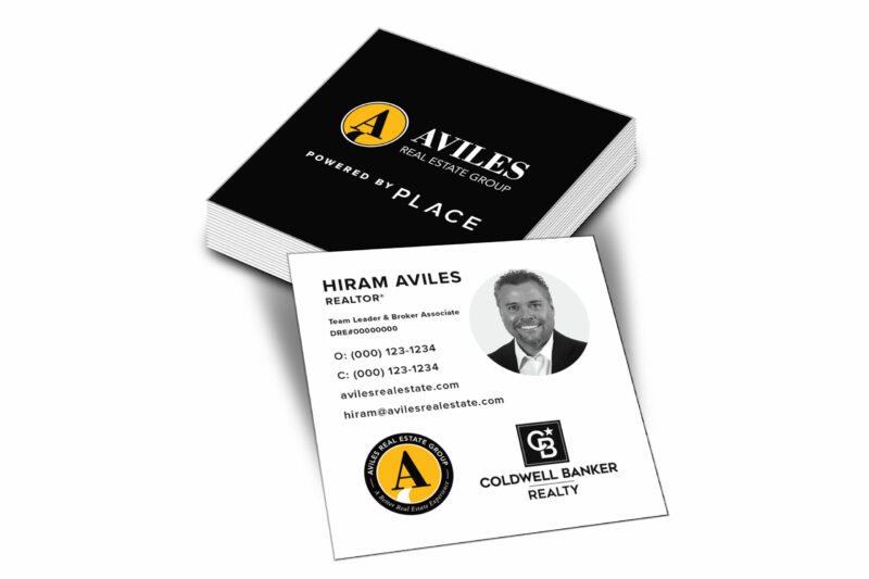 PLACE | Aviles Real Estate Group Square Business Card
